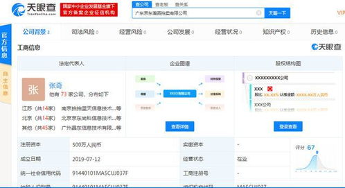 成立拍卖公司 京东跨行到拍卖 注册资本500万元