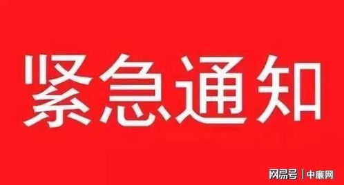 北京水太深,国明京威挺牛